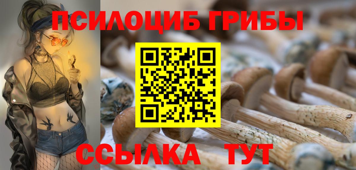 Галлюциногенные грибы Magic Shrooms  Вход с VPN  Благовещенск  Галлюциногенные грибы мицелий 